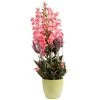 DWS Penstemon Kunstplant Roze