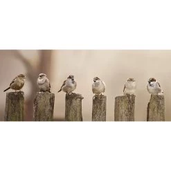 All Seasons Postersmusjes 110 X 45 Tuinposter