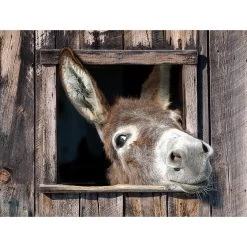 All Seasons Postersezel 80 X 60 Tuinposter