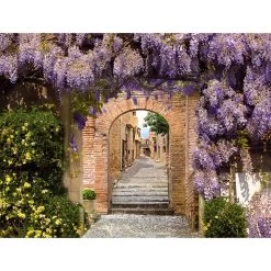 All Seasons Postersblauwe Regen 80 X 60 Tuinposter