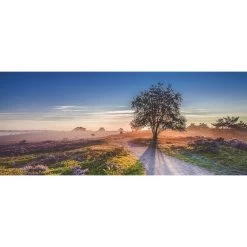 All Seasons Postersboom Op Heide 110 X 45 Tuinposter