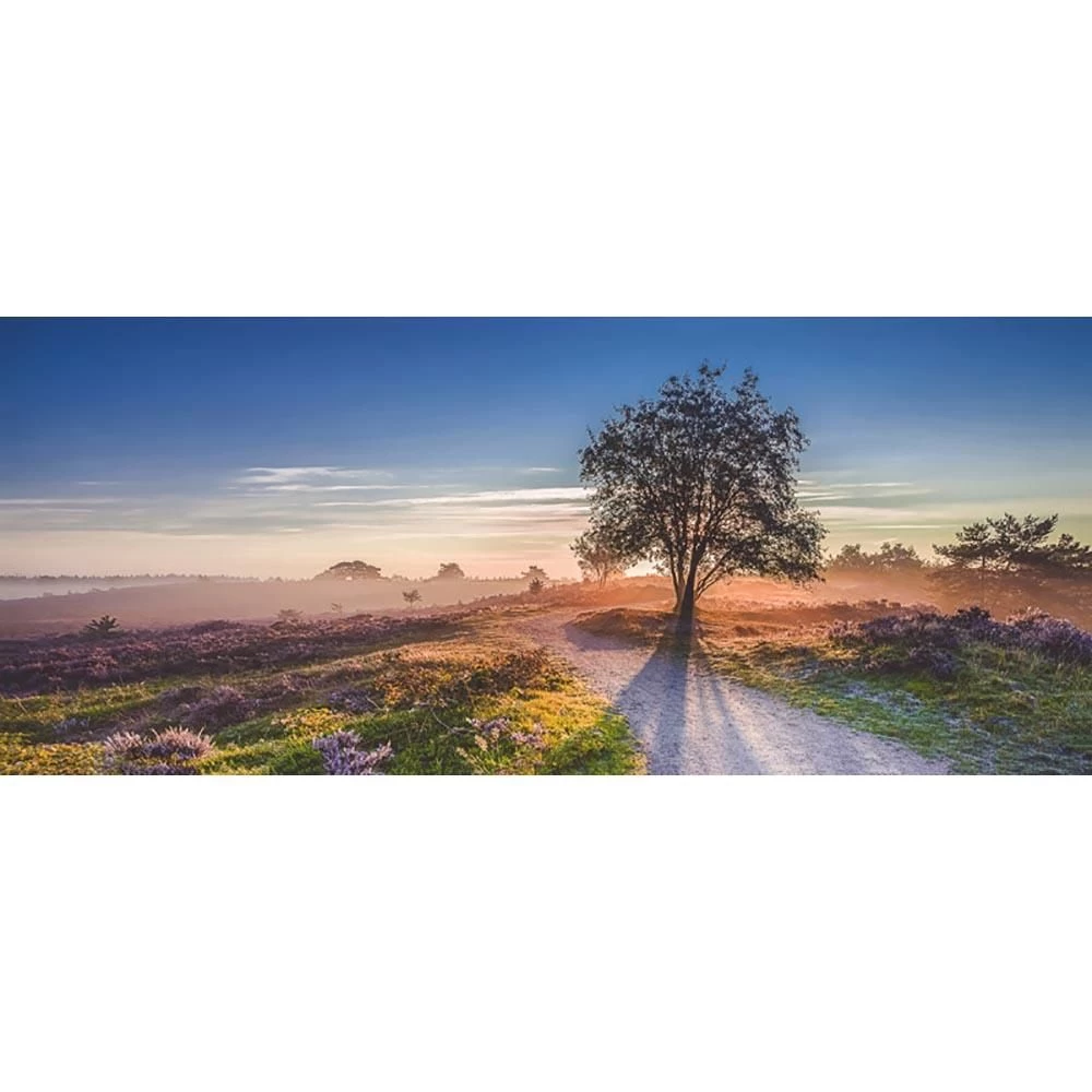 All Seasons Postersboom Op Heide 110 X 45 Tuinposter